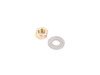 ES#2807557 - TB296K1 - Standard Timing Belt Kit - Basic kit including the timing belt and tensioner roller - Continental - Volkswagen