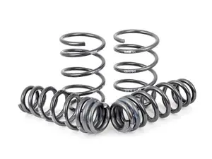 OE Sport Spring Set