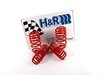 ES#658 - 29996-1 - Race Springs Set - Aggressive looks with ultimate handling for your A4 Sedan - H&R - Audi
