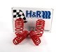 ES#658 - 29996-1 - Race Springs Set - Aggressive looks with ultimate handling for your A4 Sedan - H&R - Audi