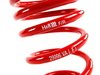 ES#658 - 29996-1 - Race Springs Set - Aggressive looks with ultimate handling for your A4 Sedan - H&R - Audi