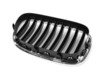 ES#2599203 - 51117295297 - Chrome Grille - Front Left - Genuine BMW replacement grille for damaged or missing grilles. - Genuine BMW - BMW