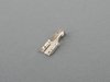 ES#164785 - 61131387146 - CONTACT SOCKET - Genuine BMW - BMW MINI