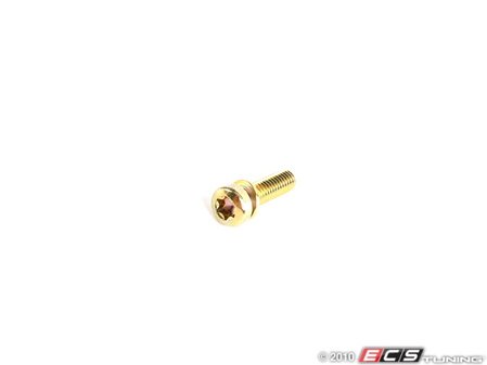 ES#34049 - 13541705561 - Torx Screw - Priced Each - Used to secure the water flange to the throttle body - Genuine BMW - BMW