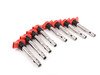 ES#2539180 - 101905621BKT - Ignition Service Kit - Includes eight red OE coil packs and eight Bosch spark plugs - Assembled By ECS - Audi