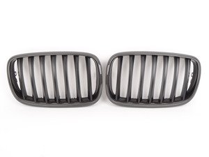 ES#3023047 - BM-0226 - Carbon Fiber Center Grills - E70 X5 - E71 X6 - Add style and individuality to your BMW in minutes with carbon fiber kidney grilles! - Turner Motorsport - BMW