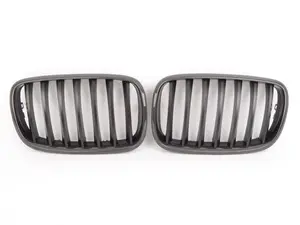 Carbon Fiber Center Grills - E70 X5 - E71 X6