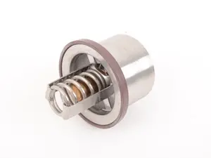 Thermostat Insert