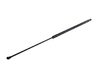 ES#91822 - 51238240596 - Hood Gas Strut - Priced Each - Directly from the factory. - Genuine BMW - BMW