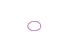 GASKET RING