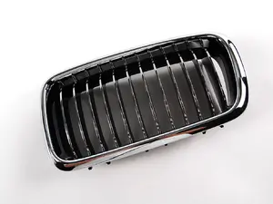 Kidney Grille - Left