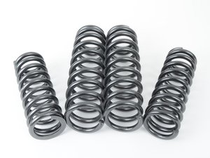 ES#1303334 - 29569-1 - Sport Spring Set - Lowers your vehicle and provides superb ride quality - H&R - Mercedes Benz