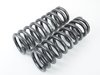 ES#1303334 - 29569-1 - Sport Spring Set - Lowers your vehicle and provides superb ride quality - H&R - Mercedes Benz
