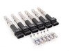 ES#2785159 - 022998715CKT2 -  Ignition Service Kit - Includes six NGK spark plugs and Eldor coil packs - Assembled By ECS - Volkswagen
