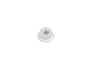 Hex Nut - Priced Each