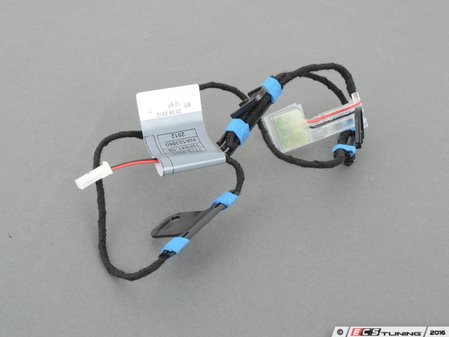 ES#173934 - 63177184659 - E70 X5 Door Handle Lighting - Front Left - A convenience upgrade for your BMW - Genuine BMW - BMW
