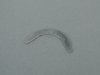 ES#2661446 - 11217594889 - UPPER GUIDE WASHER - Genuine BMW - 
