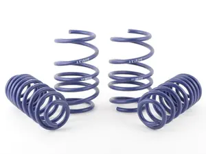 OE Sport Spring Set