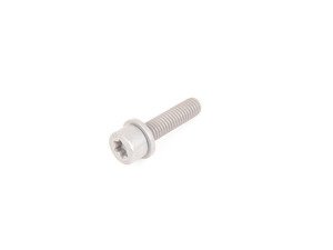 ES#2631433 - 07129905558KT - Torx Screw - Pack Of 10 - Genuine BMW - 