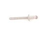 ES#66817 - 41007054384 - BLIND RIVET - Genuine BMW - BMW