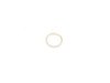 ES#42115 - 23017838941 - GASKET RING - Genuine BMW - BMW