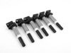 ES#3162663 - 12138616153sbKT - Ignition Coil - Set Of 6 - Give your engine a new spark - Bremi - BMW