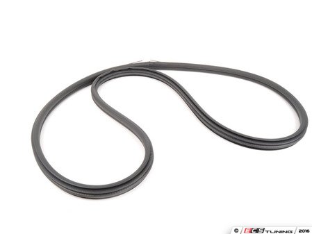 ES#2530699 - 51727303968 - Front Door Seal - Priced Each - Seals the door to the body - Genuine BMW - BMW
