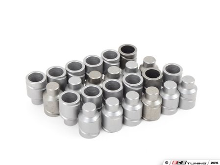 ES#3098444 - 086311700KT - Schrick Solid Lifter Conversion Kit  - Don't let hydraulic lifters limit your revs - Schrick - BMW