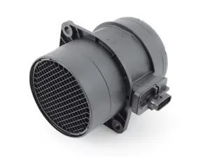Mass Air Flow Sensor (MAF)