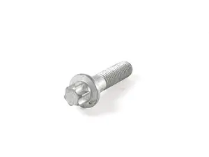 Torx Bolt