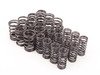 ES#3025537 - 005602022-062 - Schrick performance Valve Spring Set  - Tougher valve spring to support higher lift - Schrick - BMW