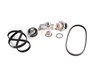 ES#1542 - AWMTBKV2 EV - Ultimate Timing Belt Kit - Complete kit to service your timing belt, water pump, and thermostat - Assembled By ECS - Audi