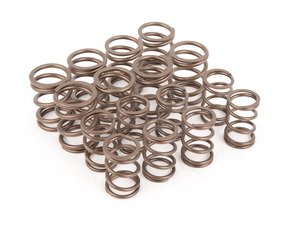 ES#2826588 - 10109600K - SportTuned Heavy Duty Valve Spring Set - Extend your revving capabilities! - Autotech - Volkswagen