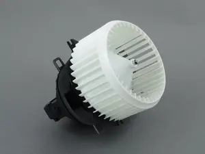     Blower Motor