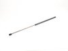 ES#2762292 - 4B0823359CKT1 - Hood And Trunk Strut Kit - Keep the hood and trunk propped in place with new struts - Assembled By ECS - Audi