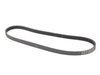ES#180394 - 64557793608 - ECE FAN BELT - Genuine BMW - BMW