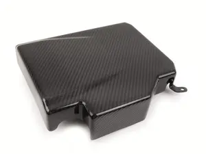 Carbon Fiber ECU Cover - Audi B9 A4/A5