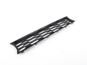 ES#2921407 - 51117301564 - GRID, CENTER  - Genuine BMW - 