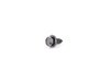 ES#14097 - 07119901338 - SHEET METAL SCREW - Genuine BMW - BMW