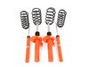 ES#3022801 - 1125-1066 - Sport Cup Kit  - Perfect combination of handling and ride quality. Approximate lowering front:30mm, rear: 30mm - Koni - 