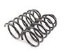 ES#3022794 - 1125-1059 - Sport Cup Kit - Perfect combination of handling and ride quality. Approximate lowering front:33mm, rear: 30mm - Koni - Volkswagen