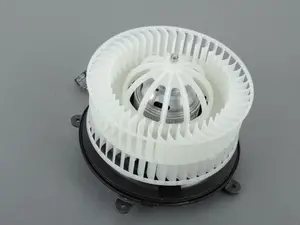 Blower Motor Unit