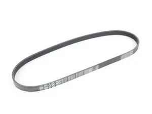 Accessory Belt
