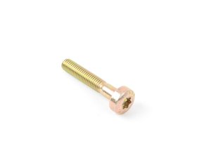 ES#19226 - 11141433439 - TORX-BOLT - Genuine BMW - BMW