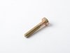 ES#19226 - 11141433439 - TORX-BOLT - Genuine BMW - BMW