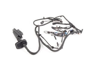 ES#2543067 - 61129282069 - DRIVER S SIDE DOOR C - Genuine BMW - BMW