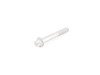 ES#43318 - 23227543198 - TORX BOLT - Genuine BMW - BMW