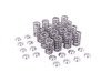 ES#2918561 - SPRKA2416 - Supertech Spring / Retainer Kit - Aftermarket performance intake and exhaust valve springs and retainers for your high revving FSI. - Supertech - Audi Volkswagen