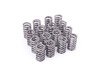 ES#2918561 - SPRKA2416 - Supertech Spring / Retainer Kit - Aftermarket performance intake and exhaust valve springs and retainers for your high revving FSI. - Supertech - Audi Volkswagen