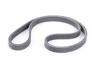 Accessory Belt 